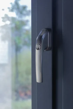 Brico Raambeveiliging-Abus Afsluitbare Raamkruk Fg300 Zilver