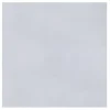 Alberts Gladde Plaat Gegalvaniseerd 600X1000X0,5Mm|Brico