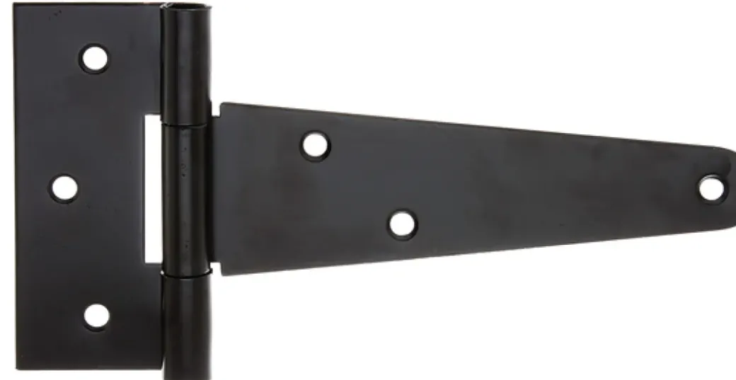 Brico Hoek- & Ankerwerk-Alberts Lang Scharnier + Geniete Pen 202/77X48Mm