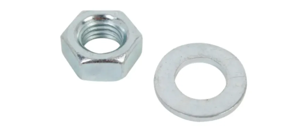 Brico Moeren-Alberts Moer + Sluitring Rvs M10 2St.
