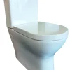 Allibert Duoblok Toilet Kobalt I Universele Afvoeri Soft-Close Toiletzitting Wit|Brico Clearance