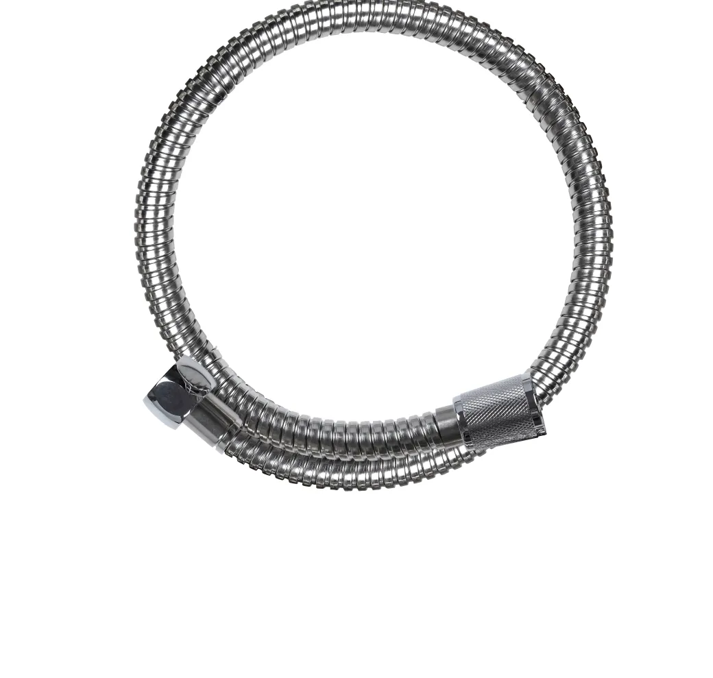Aquavive Doucheslang Rvs 80Cm Chroom|Brico Online