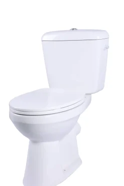 Aquavive Duoblok Toilet Ippari I Pk Aansluiting I Soft-Close Toiletzitting Wit|Brico Best