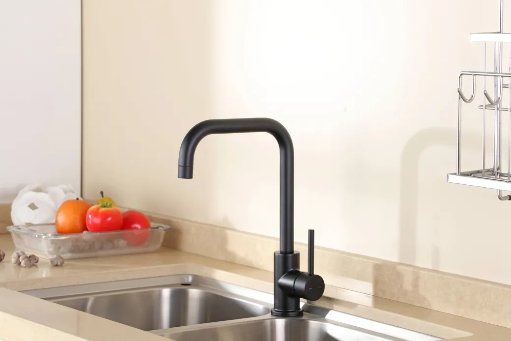 Aquavive Eco Keukenmengkraan Fonti Zwart|Brico Sale