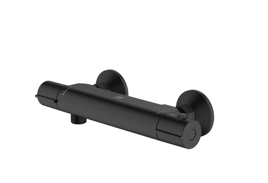 Aquavive Eco Thermostatische Douchekraan Irminio Zwart 15Cm|Brico Outlet