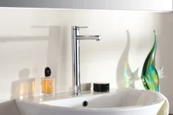 Aquavive Eco Wastafelmengkraan Sele Hoog Chroom|Brico Clearance