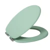 Aquazuro Toiletzitting Mdf Groen|Brico Sale