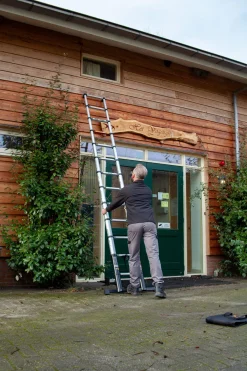 Batavia Professionele Telescoopladder 3.81M|Brico Sale