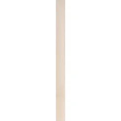 Cando Steigerhout Onbehandeld Vuren 30X195Mm 250Cm|Brico
