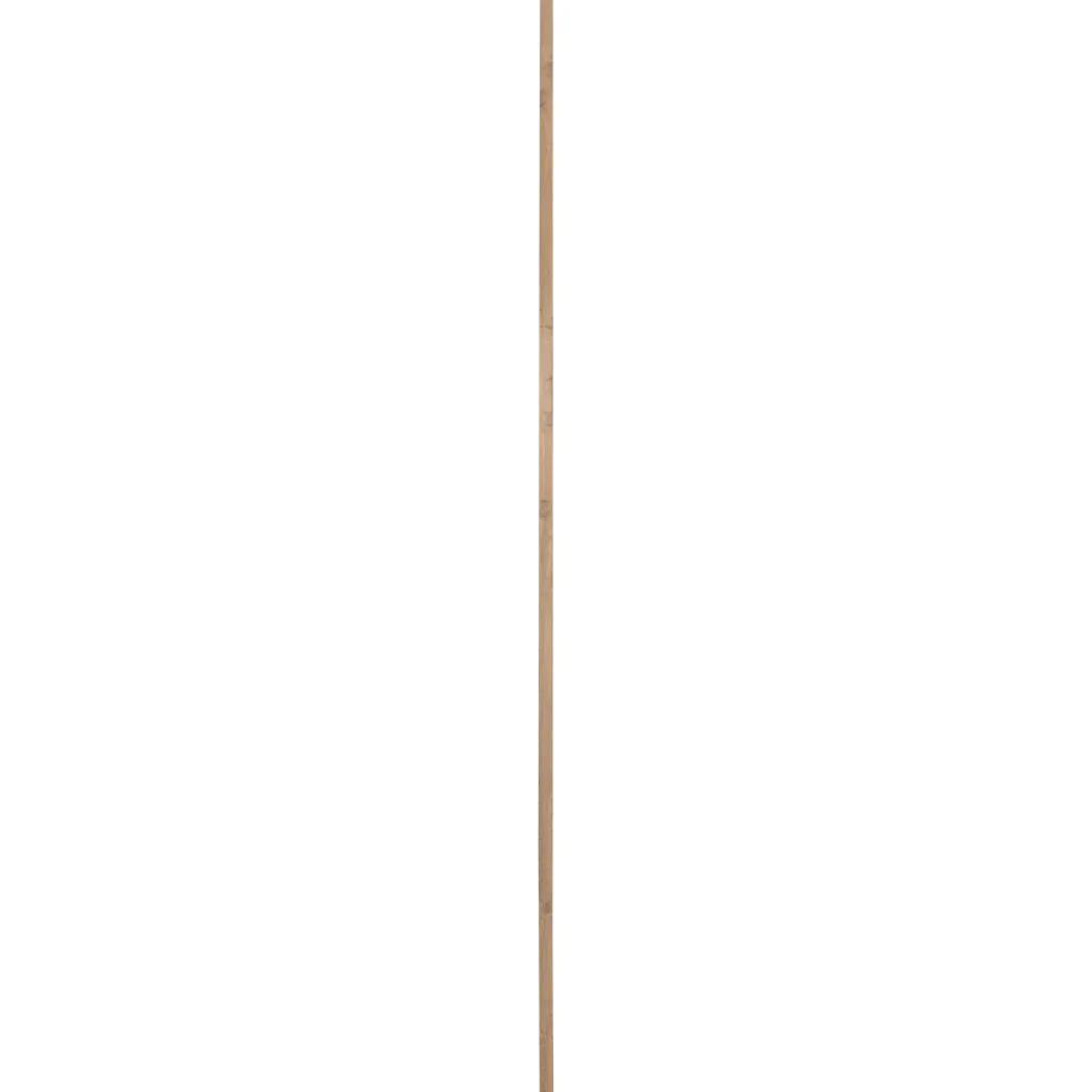 Cando Steigerhout Vuren 30X62X2500Mm Verouderd|Brico Outlet