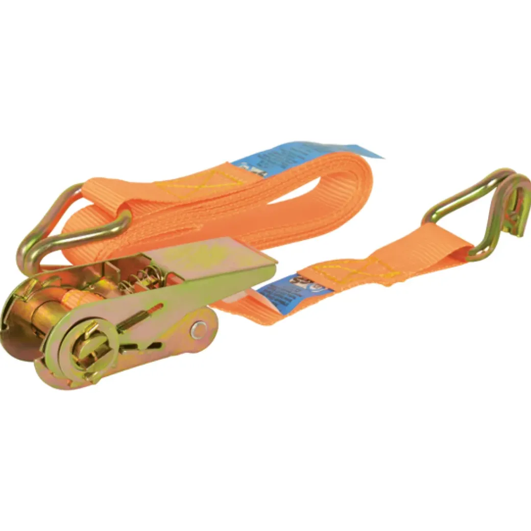 Brico Spanbanden-Carpoint Spanband Met Ratel 3Mx25Mm 350Kg