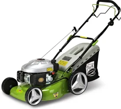 Central Park Benzinegrasmaaier Cpt51Cp 173Cc|Brico Outlet