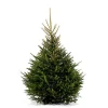 Central Park Kerstboom Epicea 150-200Cm|Brico Sale