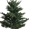 Central Park Kerstboom Nobilis 125-150Cm|Brico Outlet