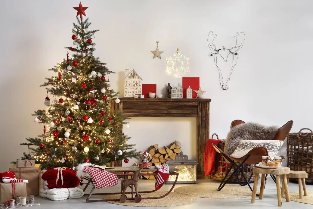 Central Park Kerstboom Nordmann Gekapt 100-150Cm|Brico Clearance