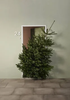 Central Park Kerstboom Nordmann Gekapt 100-150Cm|Brico Clearance