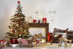 Central Park Kerstboom Nordmann 200-250Cm|Brico New