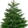 Central Park Kerstboom Nordmann 175-200Cm|Brico Best