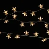 Central Park Kerstverlichting Ster Acryl 100 Lampjes 13M|Brico Best