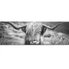 Deco Paneel Schilderij Highlander Schots Mdf 156X52Cm|Brico New