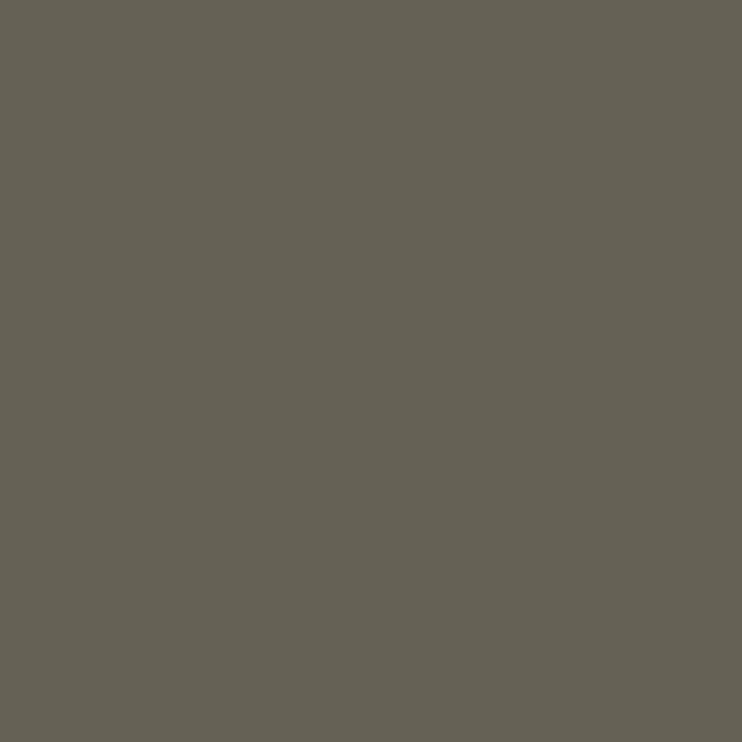 Brico Jaloezieen-Decosol 946 Jaloezie Hout Taupe 80X180Cm
