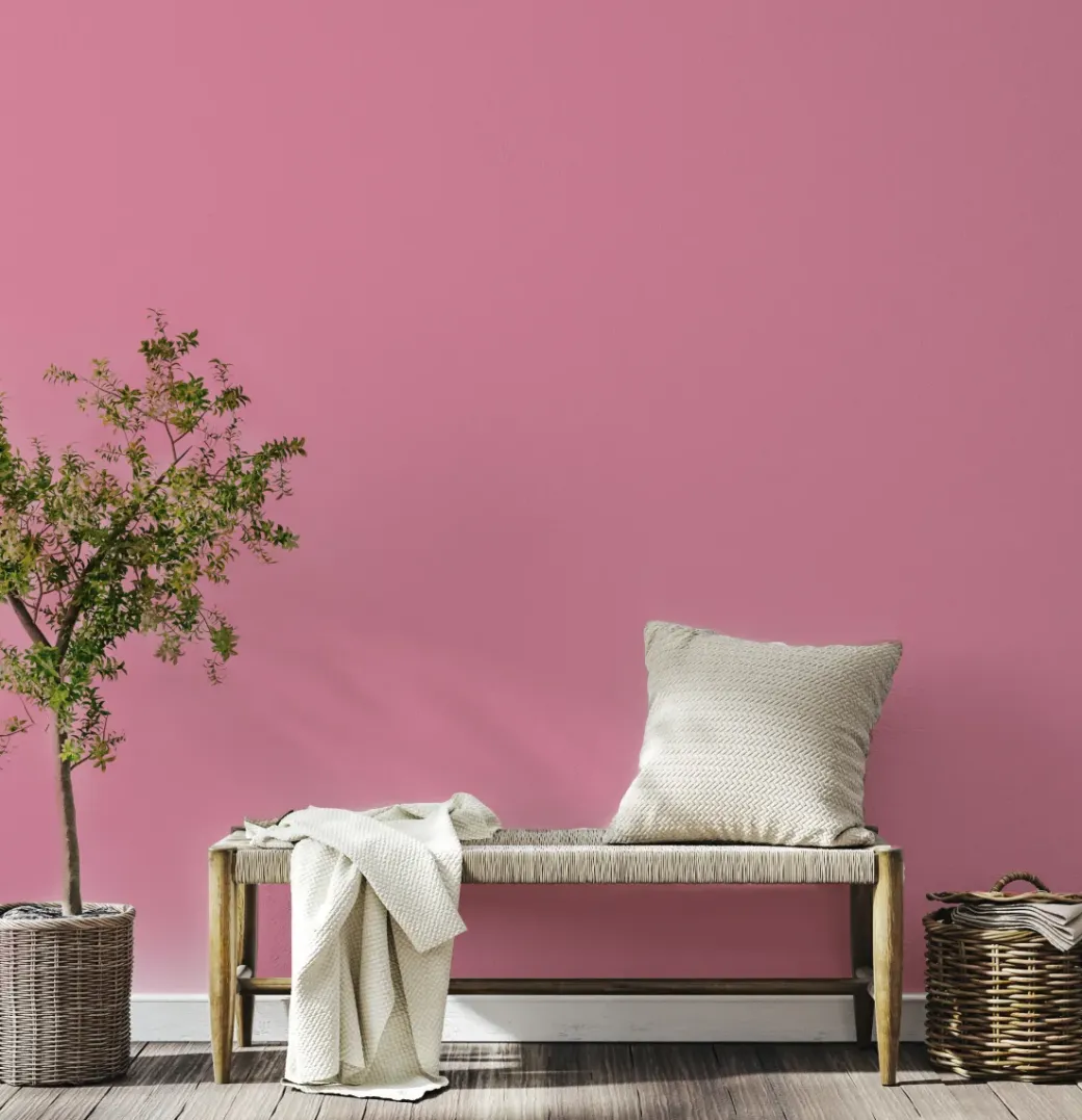 Brico Muurverf-Decoverf Muurverf Licht Roze, 4L