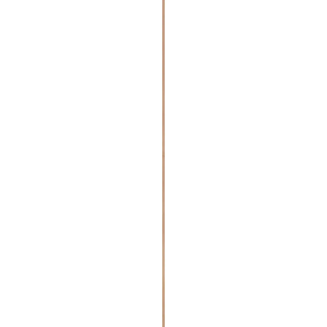 Douglas Plank Ruw 19X300Cm 22Mm|Brico Best