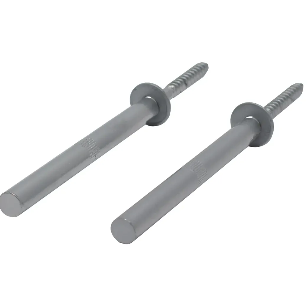 Brico Plankendragers-Duraline Wandplankdrager Pin Mat Zilver 1,2X12,5Cm - 2 Stuks
