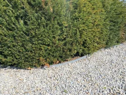 Brico Opsluitbanden & Boordstenen-Eco Edge Kantopsluiting Rol - Zwart - 1000 X 14 X 0,7 Cm