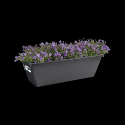 Brico Plantenpotten En -Bakken-Elho Balkonbak Barcelona 70Cm Antraciet