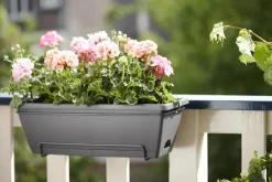 Brico Plantenpotten En -Bakken-Elho Barcelona All-In-1 O50Cm Antraciet