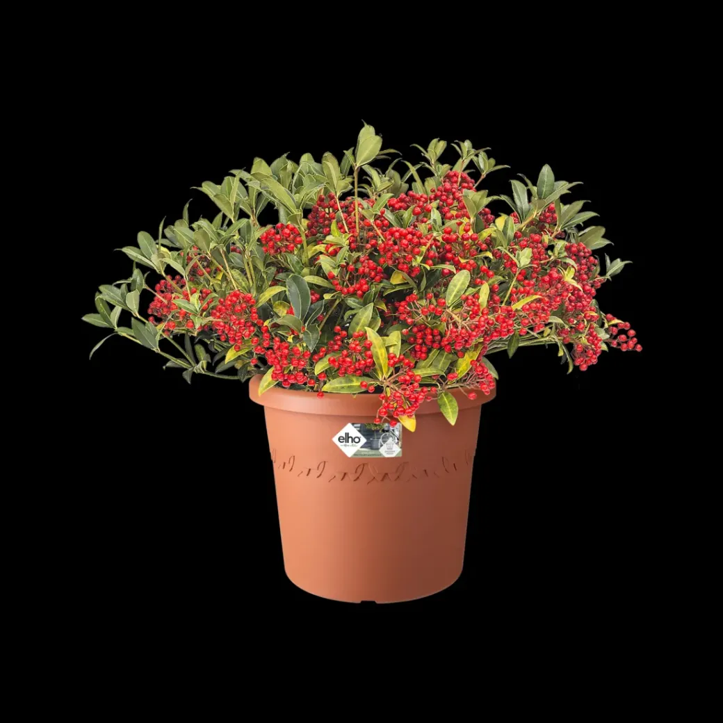 Brico Plantenpotten En -Bakken-Elho Bloempot Algarve Cilindro Rond O35Cm Terra