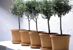 Brico Plantenpotten En -Bakken-Elho Bloempot Algarve Cilindro Rond Wielen O48Cm Terra