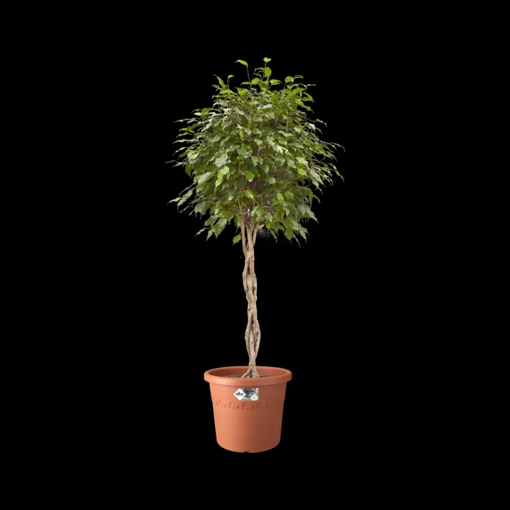 Brico Plantenpotten En -Bakken-Elho Bloempot Algarve Cilindro Rond Wielen O48Cm Terra