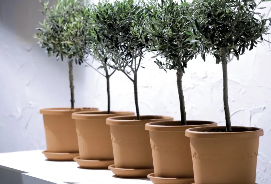 Brico Plantenpotten En -Bakken-Elho Bloempot Algarve Cilindro Rond Wielen O40Cm Terra