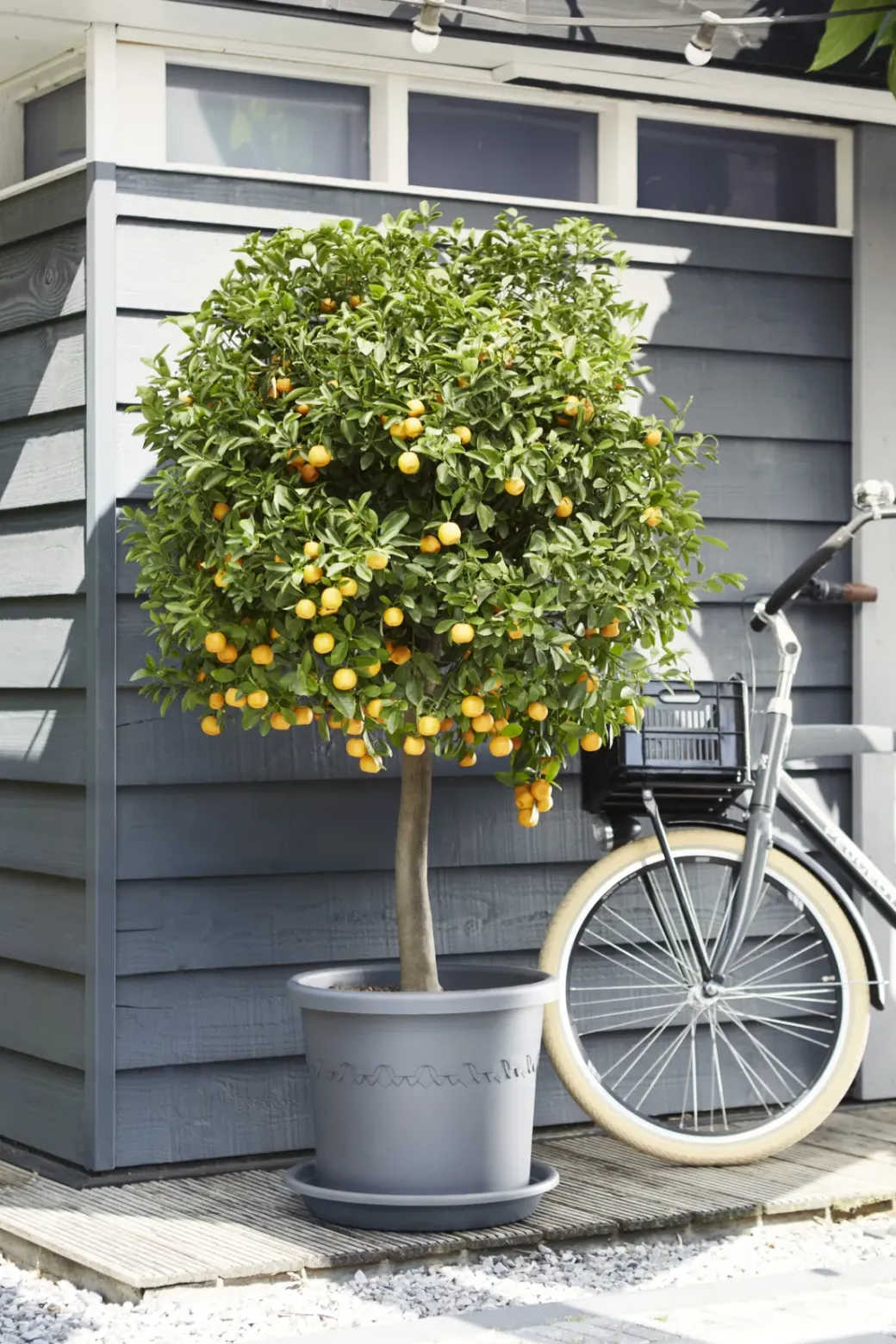 Brico Plantenpotten En -Bakken-Elho Bloempot Algarve Cilindro Rond O30Cm Antraciet