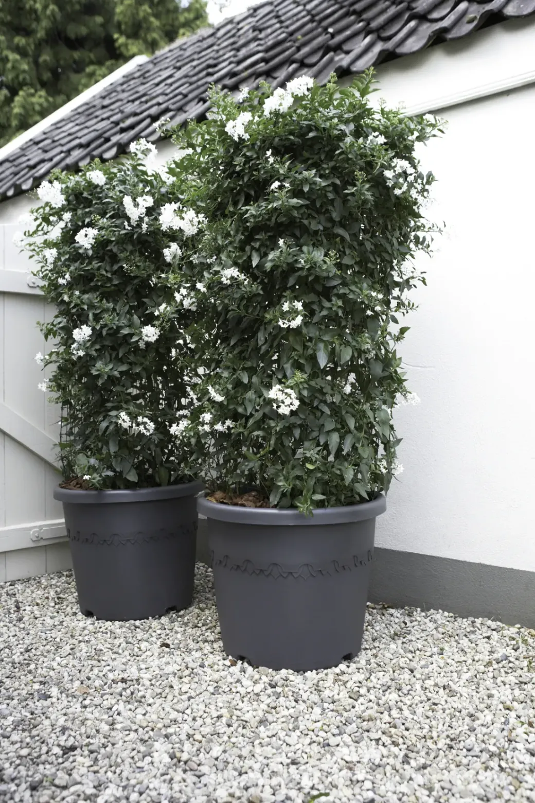 Brico Plantenpotten En -Bakken-Elho Bloempot Algarve Cilindro Rond O30Cm Antraciet