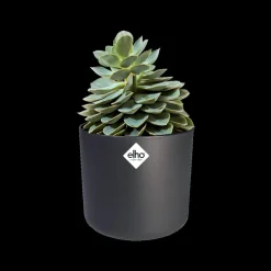 Brico Plantenpotten En -Bakken-Elho Bloempot B.For Soft Rond O30Cm Antraciet