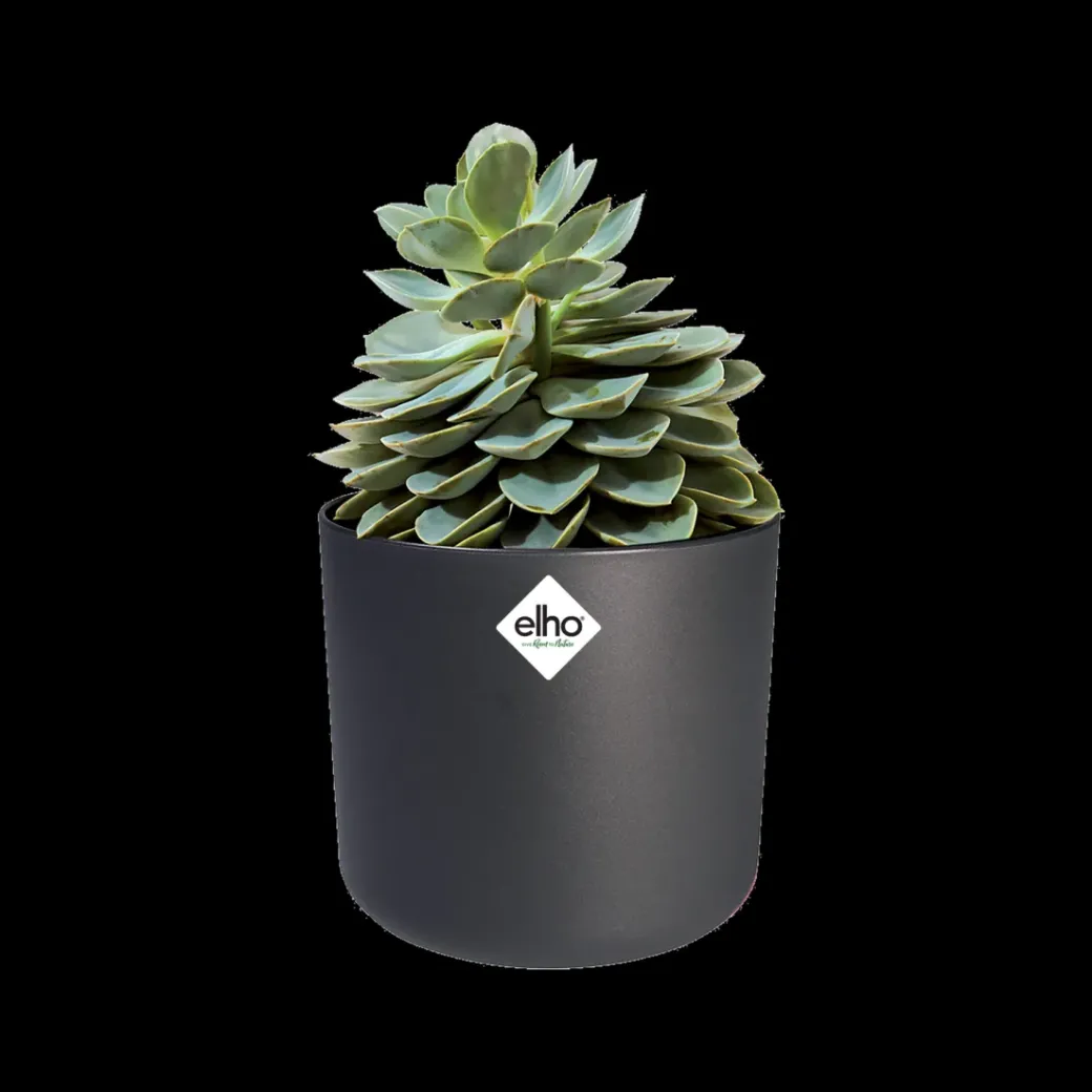 Brico Plantenpotten En -Bakken-Elho Bloempot B.For Soft Rond O30Cm Antraciet