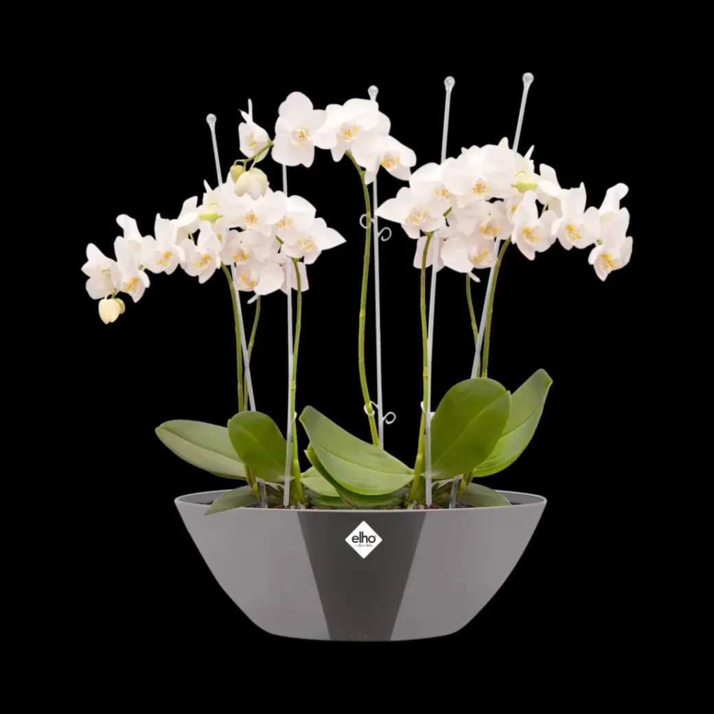 Brico Plantenpotten En -Bakken-Elho Bloempot Brussels Diamond Ovaal 36Cm Oyster Pearl