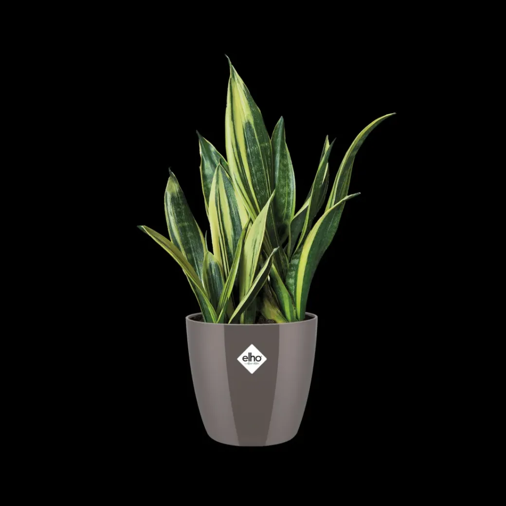 Brico Plantenpotten En -Bakken-Elho Bloempot Brussels Diamond Rond O25Cm Oyster Pearl