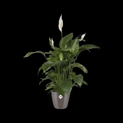 Brico Plantenpotten En -Bakken-Elho Bloempot Brussels Diamond Rond O25Cm Oyster Pearl