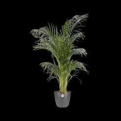 Brico Plantenpotten En -Bakken-Elho Bloempot Brussels Rond O16Cm Antraciet