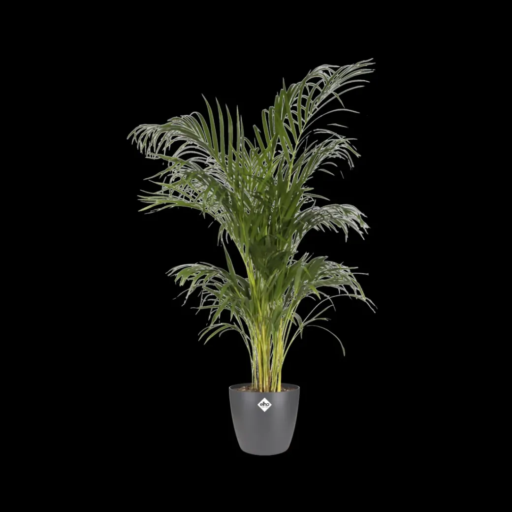 Brico Plantenpotten En -Bakken-Elho Bloempot Brussels Rond O16Cm Antraciet