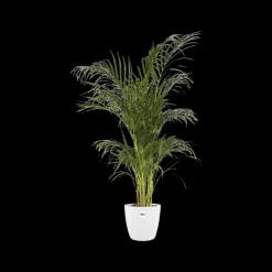 Brico Plantenpotten En -Bakken-Elho Bloempot Brussels Rond O25Cm Wit