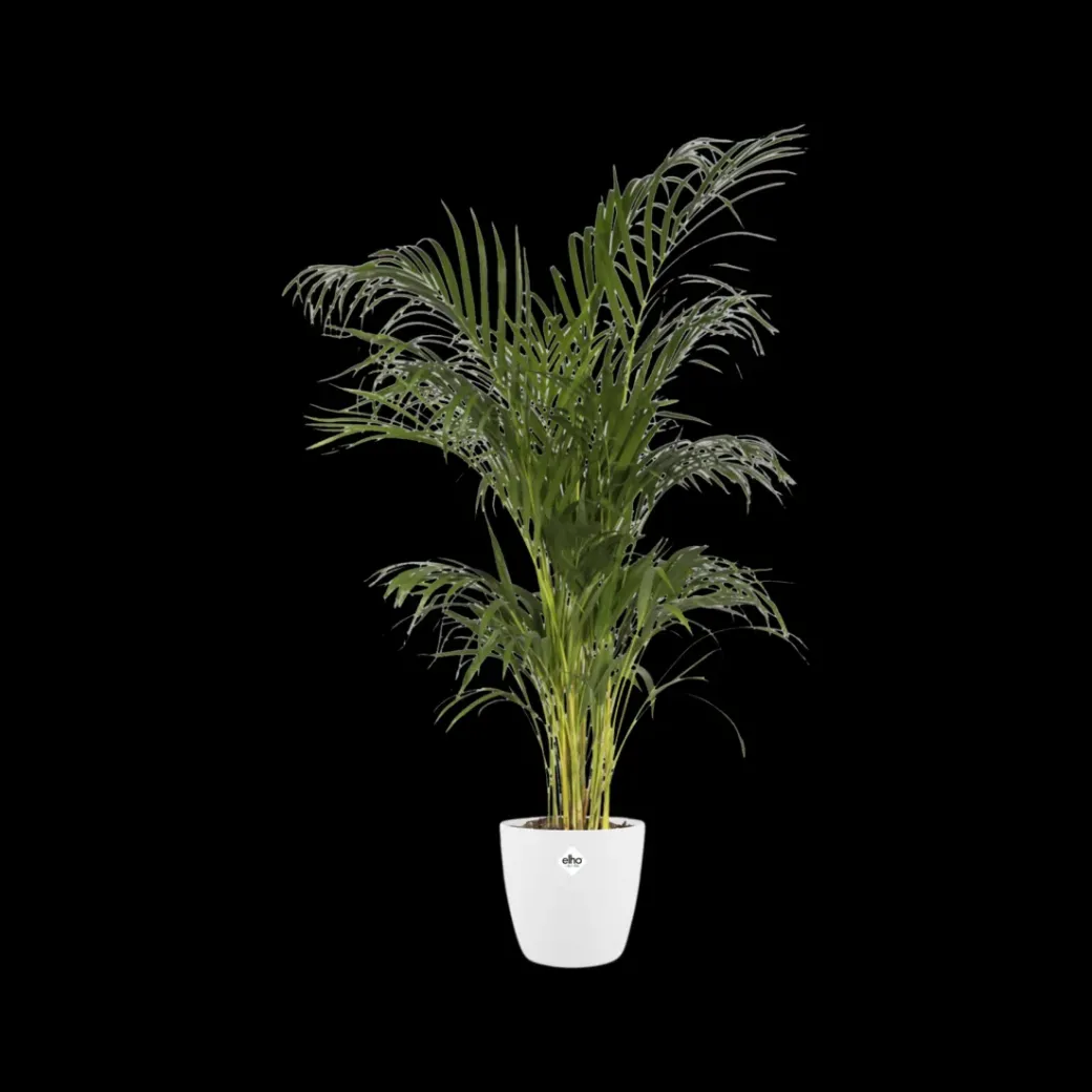Brico Plantenpotten En -Bakken-Elho Bloempot Brussels Rond O25Cm Wit