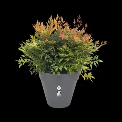 Brico Plantenpotten En -Bakken-Elho Bloempot Loft Urban Rond Wielen O40Cm Antraciet