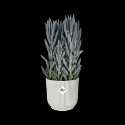 Brico Plantenpotten En -Bakken-Elho Bloempot Vibes Fold Rond O30Cm Wit
