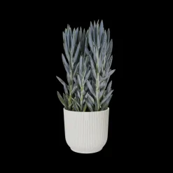 Brico Plantenpotten En -Bakken-Elho Bloempot Vibes Fold Rond O30Cm Wit