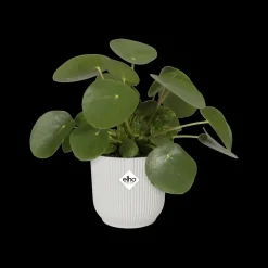 Brico Plantenpotten En -Bakken-Elho Bloempot Vibes Fold Rond O30Cm Wit